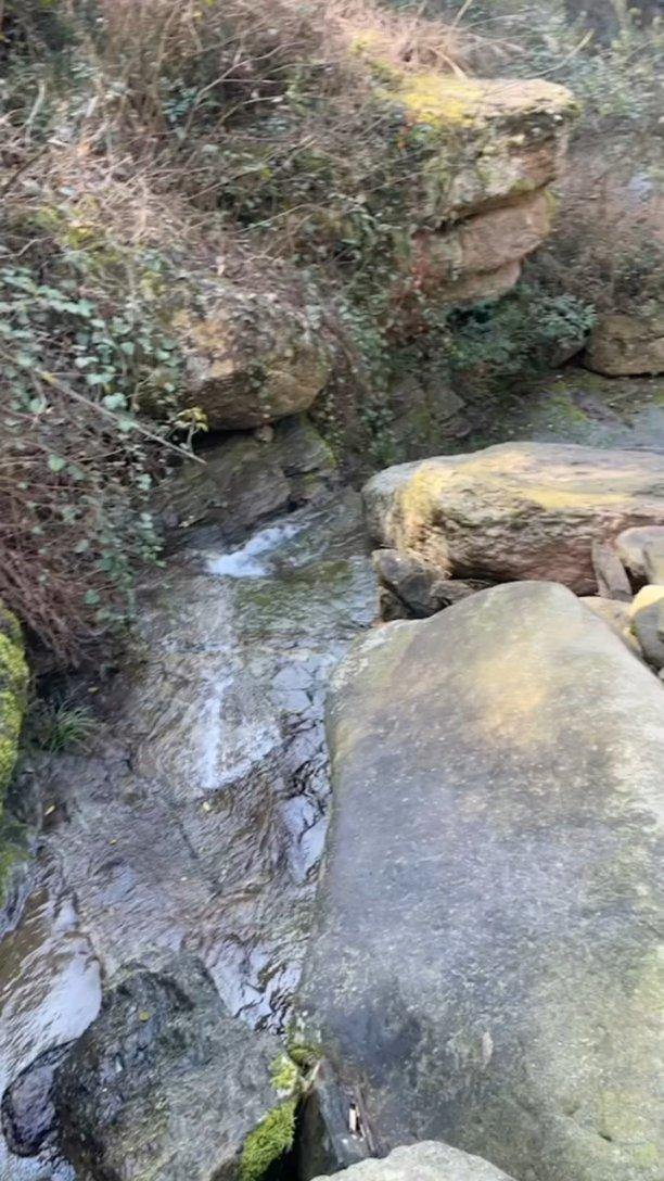狂野飙客3